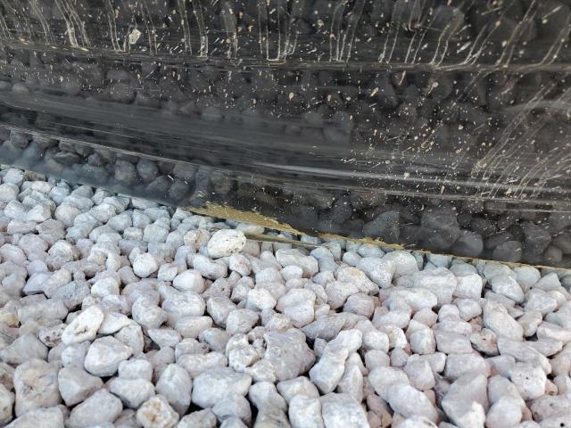 Kawasaki Jetski Image 7