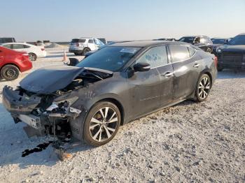  Salvage Nissan Maxima