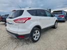 Ford Escape Titanium Image 2