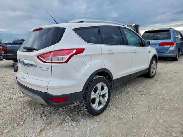 Ford Escape Titanium Image 2
