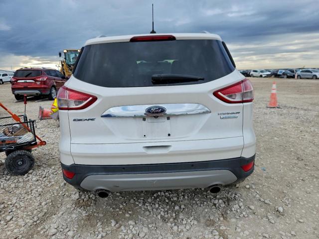 Ford Escape Titanium Image 3