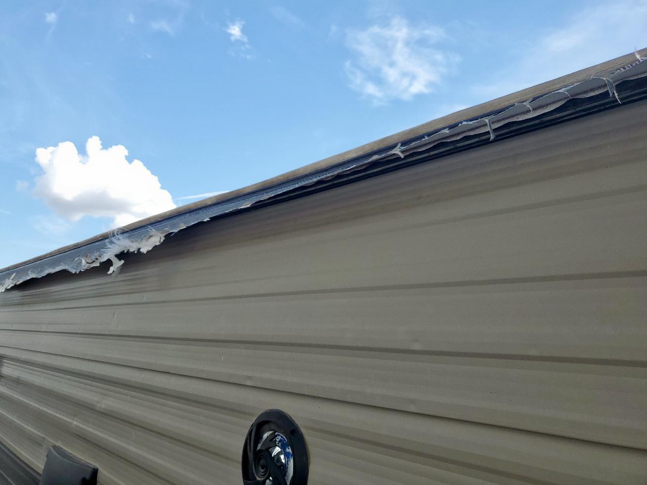 Wildcat X Lite Image 10