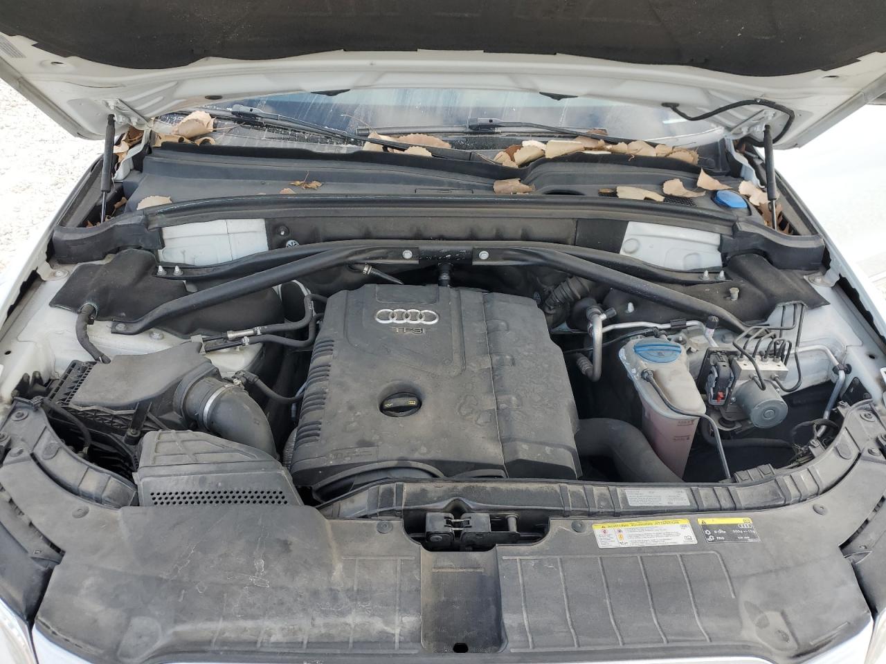 Audi Q5 Premium Plus Image 8