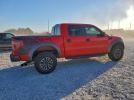 Ford F-150 Svt Raptor Image 5