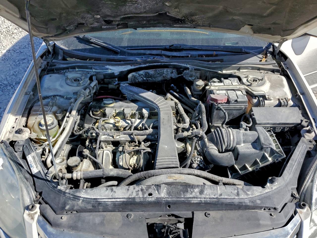 Ford Fusion Se Image 11