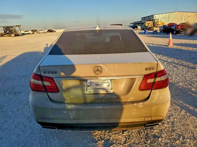 Mercedes-Benz E-Class 350 Bluetec Image 12