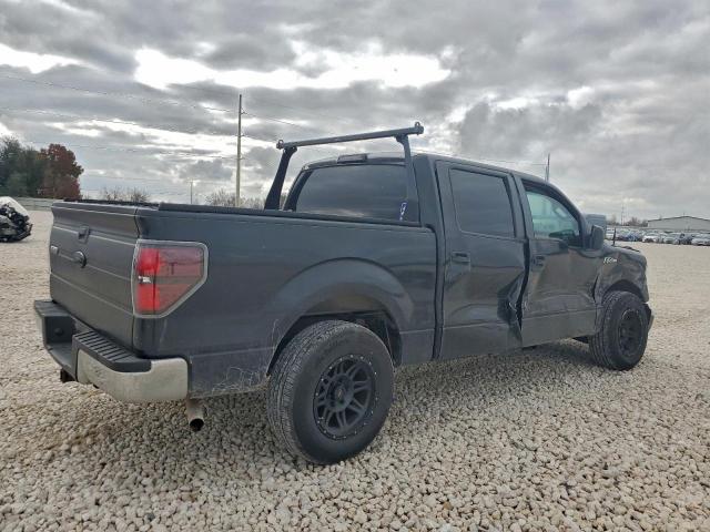 Ford F-150 Supercrew Image 3